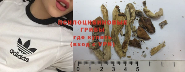 ALPHA PVP Покровск