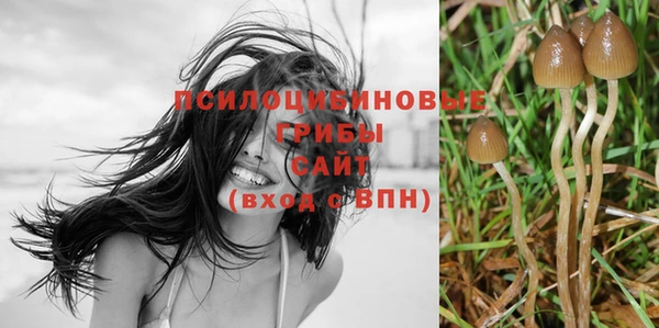 ALPHA PVP Покровск