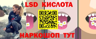 прущие грибы Краснокаменск