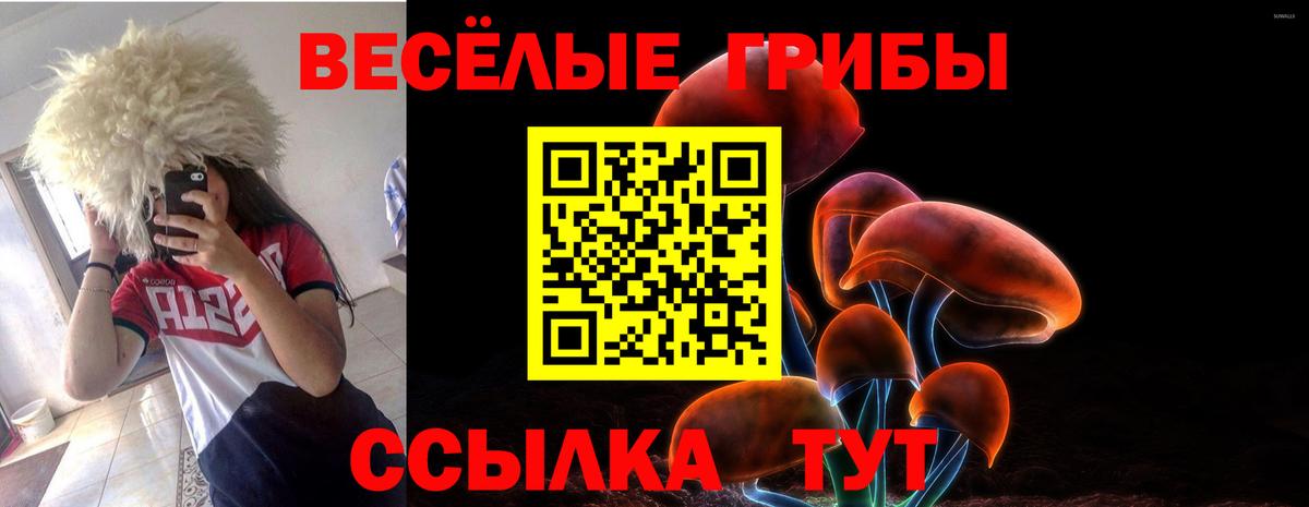 Галлюциногенные грибы Psilocybine cubensis  Псилоцибиновые грибы MAGIC MUSHROOMS  где купить   Благовещенск  Вход с VPN 